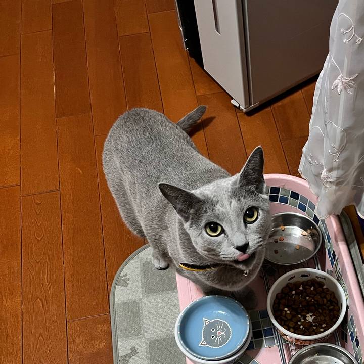 D4286108 5f20 4429 b727 df870215449d 1671848214694