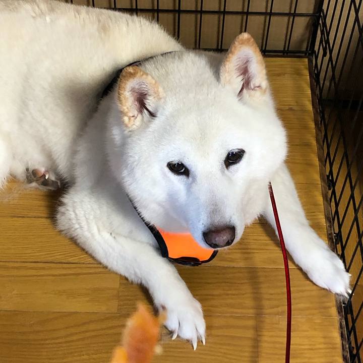 D4287557 afa6 4cff b8b6 6fe669bd0521 1615359595872