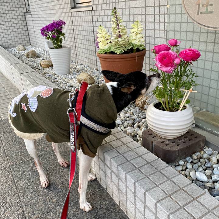 D428bc96 8ac4 4792 b945 314f218714ae 1584617165328