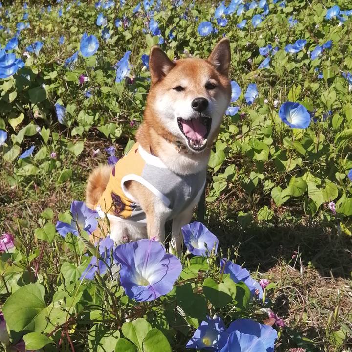 D428d321 d23b 4053 9a29 c043c7482448 1633960094505