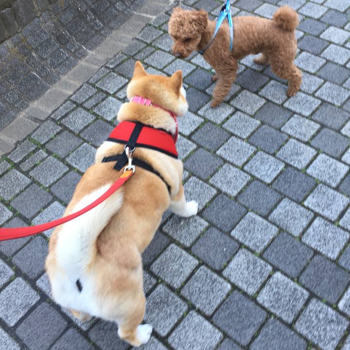 D4291fcf 3518 40eb b16f 0bbd51a900c9 1584672645143