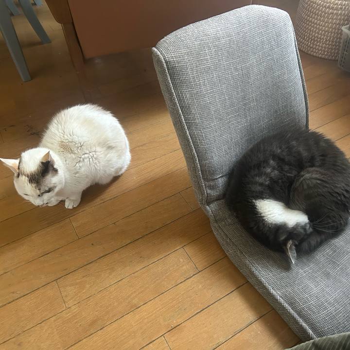 D42929cc 1abe 4b6d b778 4782ffd5db73 1765429614838