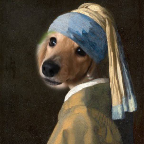 D4293e76 64f8 4aec b41b 7a737eb39693 1636721639711