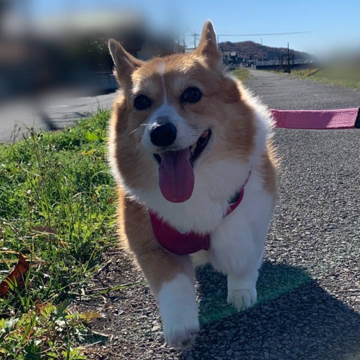 D42960ba 83c3 4215 a4a5 6466f3f87c5c 1701655754877