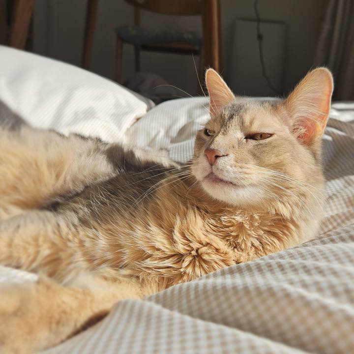 D42983b8 409c 4c83 be61 6cd73d86be11 1770778514074