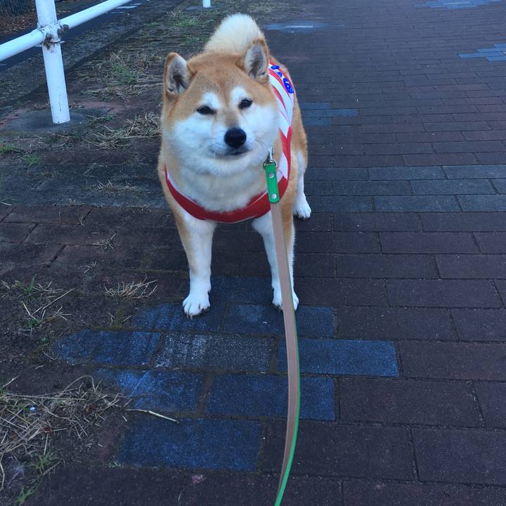 D429ae98 e9ae 47cc a854 053d19208c75 1608081012981