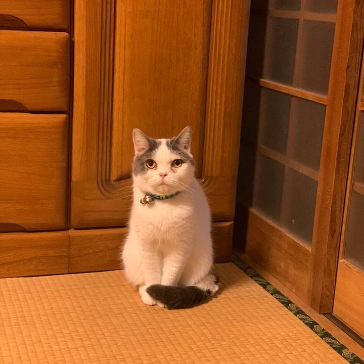 D429aead b285 4250 9ebe b6b3f45cd9dd 1669640521434