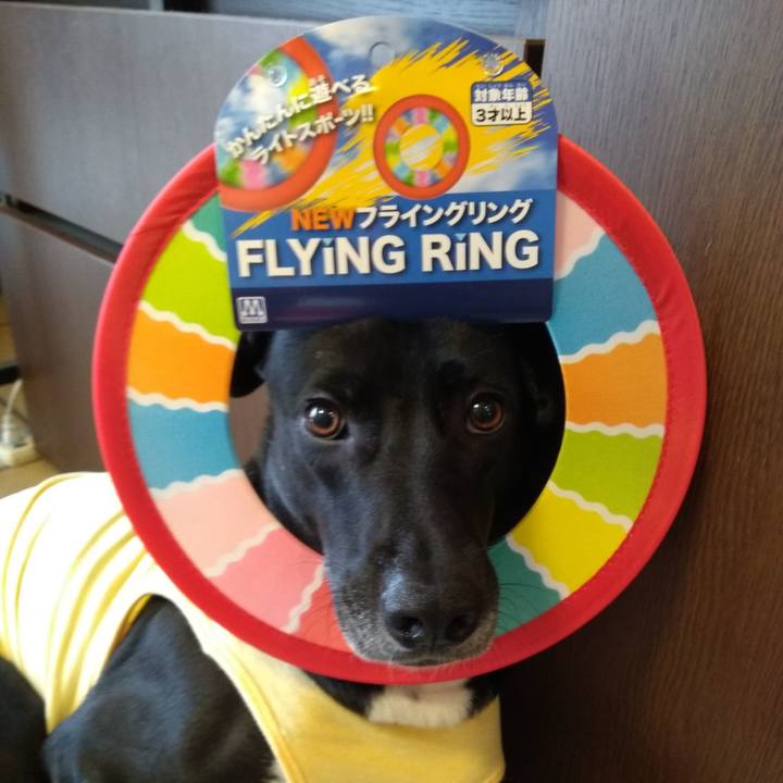 D429b03d 9caf 4289 ba71 d3fb84f6ad66 1618397230738