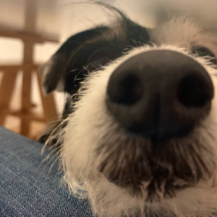 D429c0d9 9dc1 4f8f bd4d 85a0d5cb2be9 1681208687609