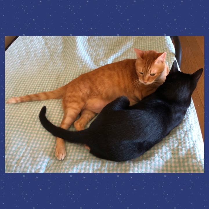 D429d474 cc0e 4e61 bbaf d5303648f6ec 1725155287780