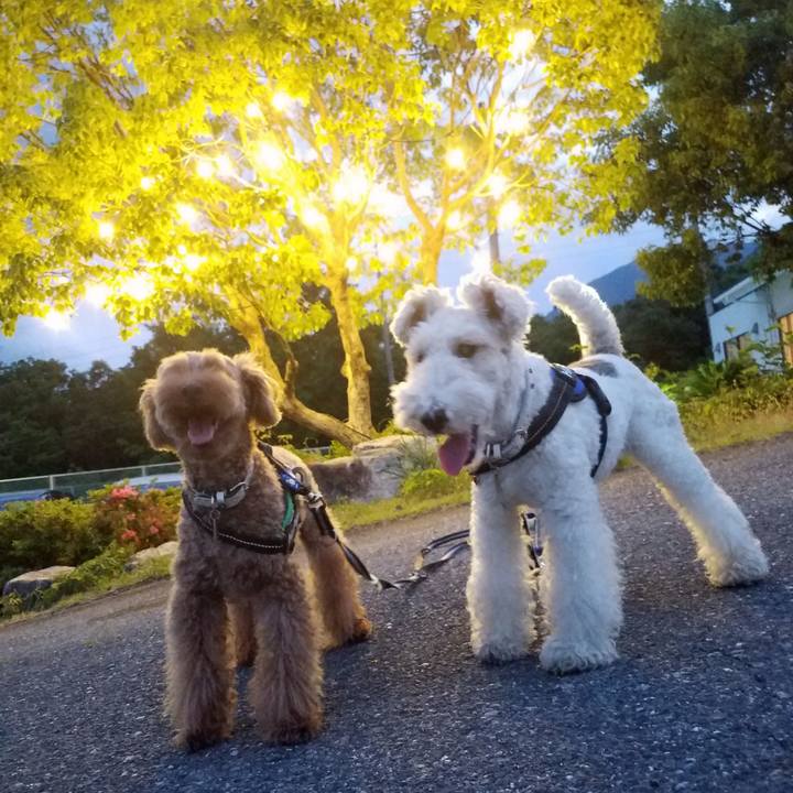 D429fcb2 21bc 4a18 a224 7489a366053c 1559735569377