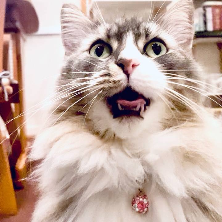 D42a187e 49a3 48be aebb e6fef369bfb7 1763824930399