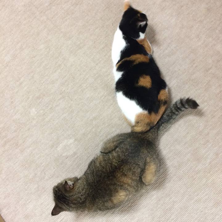 D42a1d96 c966 40f3 a2fc 686492944209 1563448335825