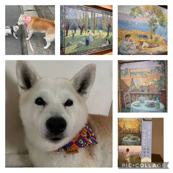 D42a5140 9ad8 4460 97e4 d48da26c4591 1665235474390