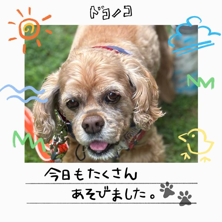 D42a6cc9 3829 4c52 919c f220e6c5fc94 1755063354930