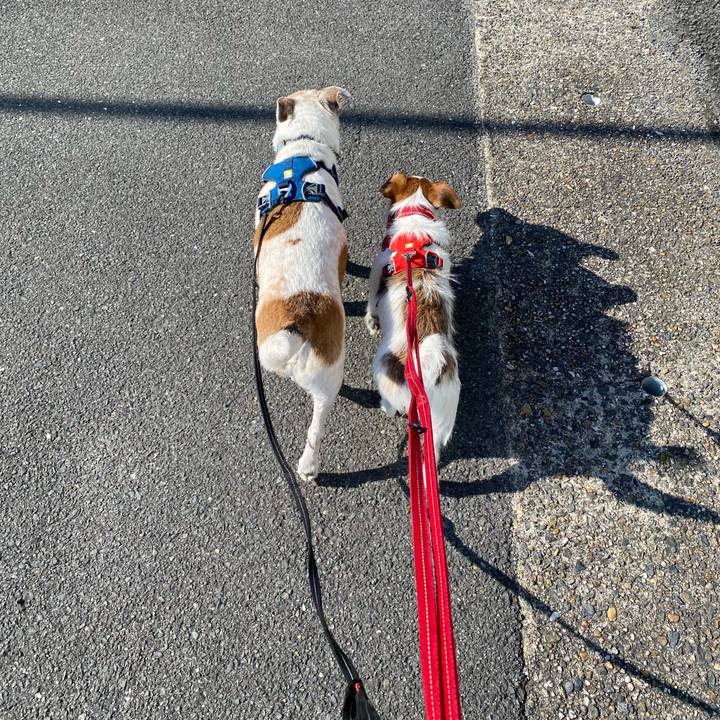 D42a7489 407d 43ec 882a f1a01264bccd 1641609753779