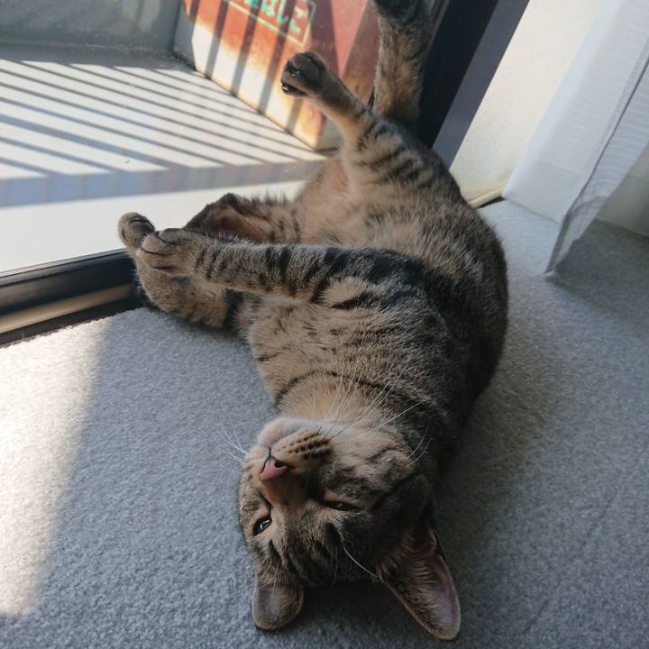 D42aa6d2 f165 40cf 9456 a6401403e76a 1521261530869