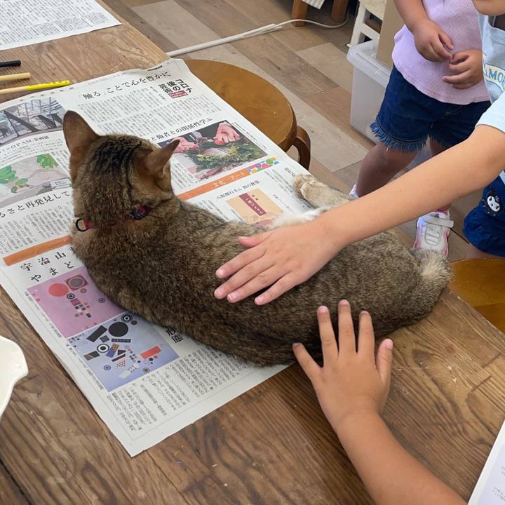 D42ab8f8 737e 4b15 b8a7 e696a6e1d4cc 1753844786850