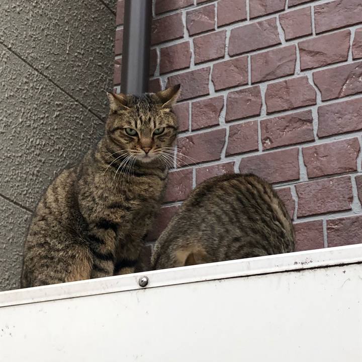 D42abc1d 1607 42bc 9f05 84e6e2d22cbd 1518253601881