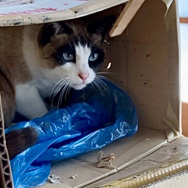 D42ad03b 5f5e 4e13 af22 722905b41ada 1742694954595