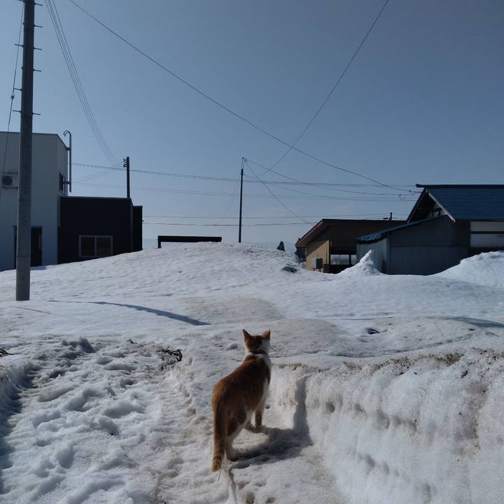 D42adf6f 7931 40e5 8392 fffd29a9766b 1741763982455