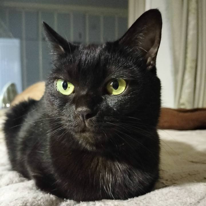 D42aed2b bfe6 45b4 95cd 77c63ed570b2 1699695227219