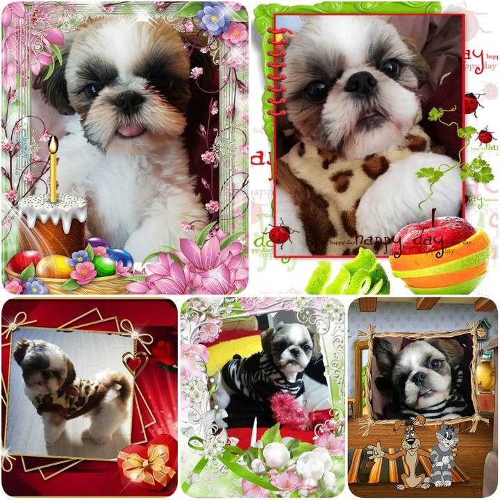 D42af14f 717e 4279 b265 1f23de361a64 1589468721691