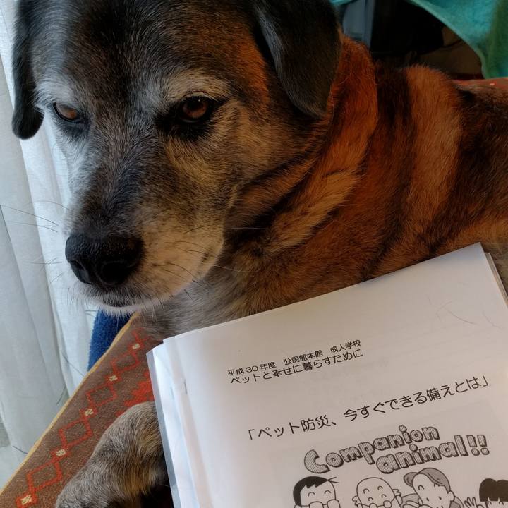 D42b2381 1007 42a6 b3f4 2cee99427424 1550273439474