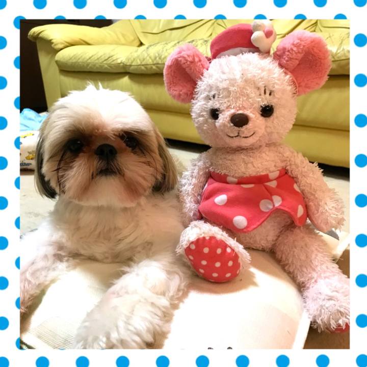 D42bd15f 548d 46d6 86d0 aa6956d3547b 1599648491436