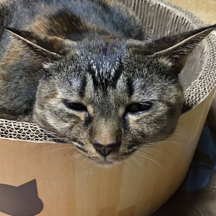 D42c0805 4268 44f0 b96a 83c87365b0b5 1761470709393