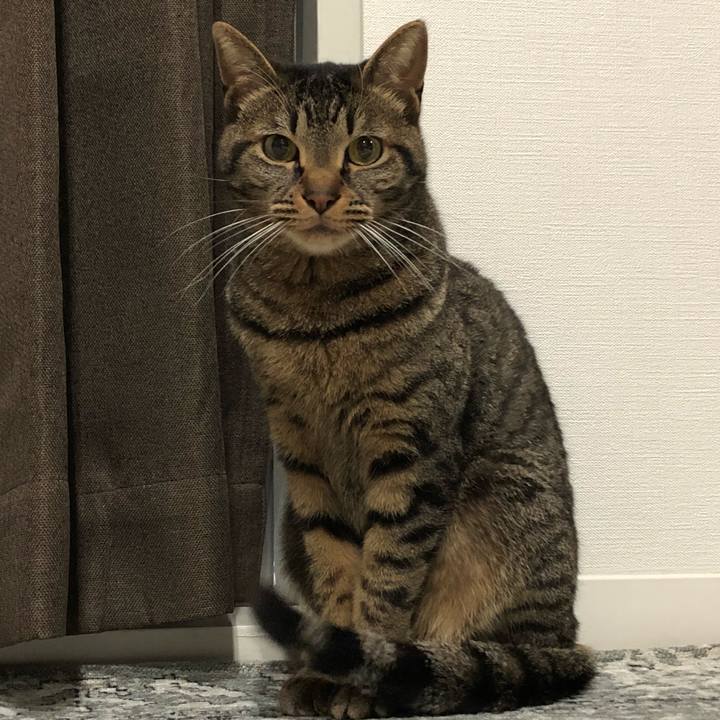 D42c1558 7f10 456b 8517 4be16294ff8c 1524969001875