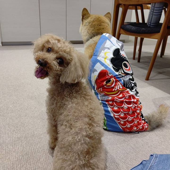 D42c1fa3 f836 44a3 a973 64616830c19b 1619928095050