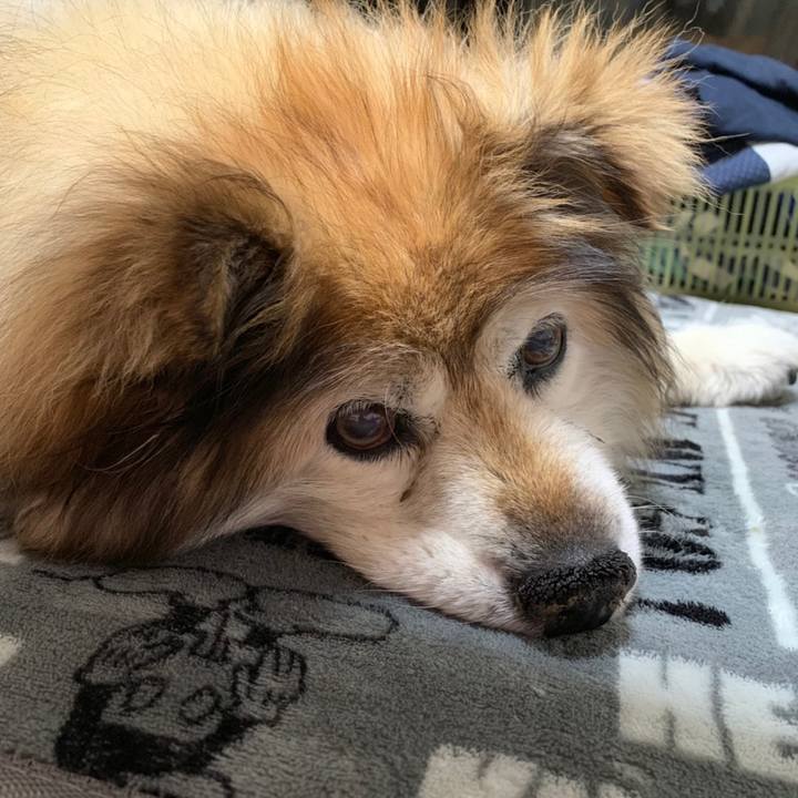 D42c293d 4288 4de7 9435 35d20036fb4f 1590297802485