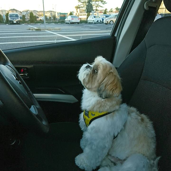 D42c3c15 ed33 4580 8cfa a056373ddd60 1544855164931