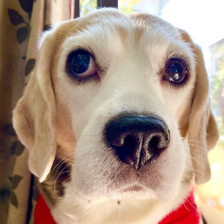 D42c7ccc 5da8 4559 bd97 88383212305f 1606794199457