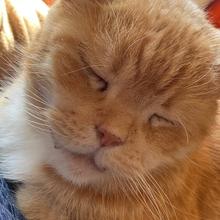 D42c8e5a 7807 46b0 b4af cac3826fd592 1585018210679