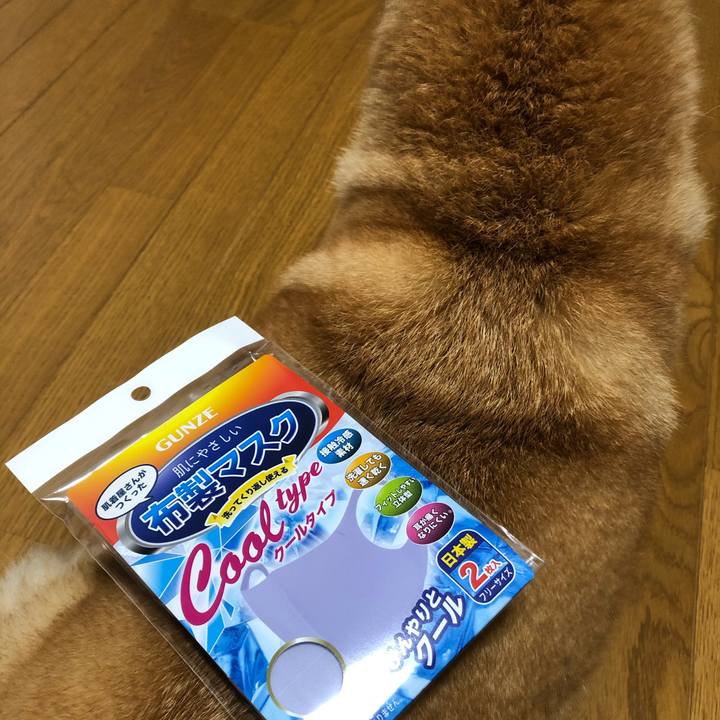 D42c96bf b3c8 4ba3 b6db 235a9ae360ca 1594987253691