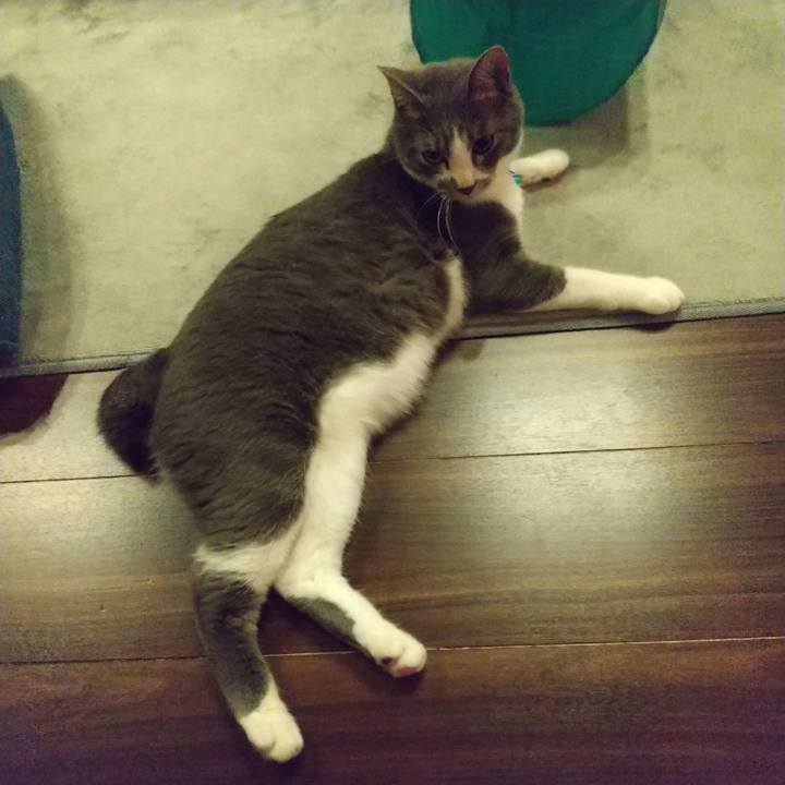 D42cb69a 9a4e 407d 949e 34e3d9eff968 1622210473590