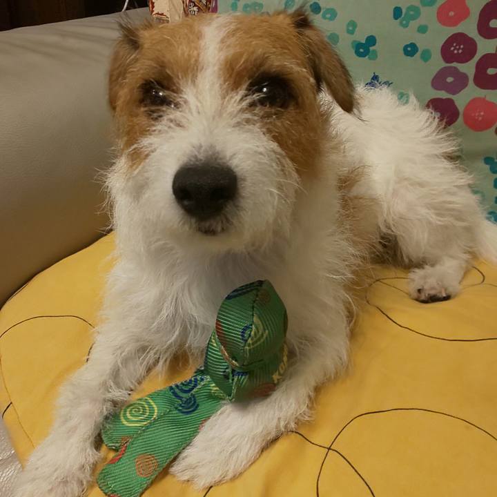 D42ccc18 1f50 4ebe ac4f 0712005da5af 1597656233661