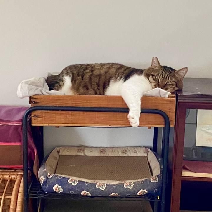 D42cf3db 54d6 4559 9685 e2d37344a15a 1760255954048