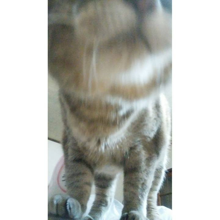 D42cf994 4ba5 4e85 afae ad860a664f46 1524196454619