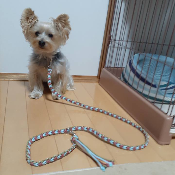 D42d14ba ddf3 44f4 86d5 6d792affd0f4 1668932548344