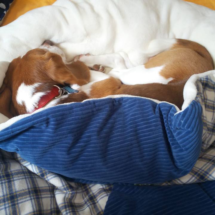 D42d1d3e 7807 47d6 b57c 0844731b6a6b 1637029761315