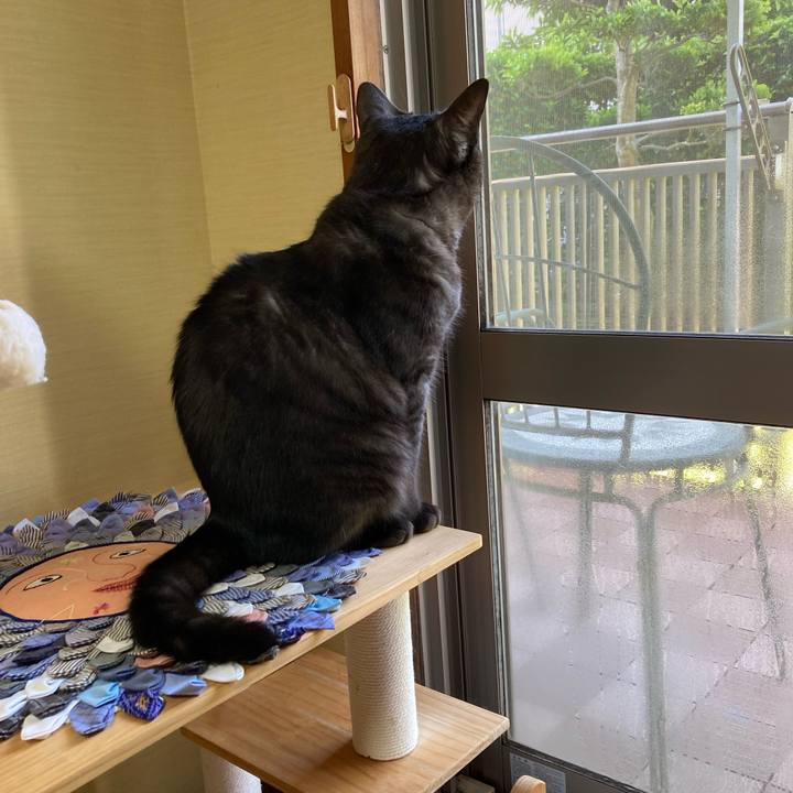 D42d31fa 5dd9 4fe7 93a1 31706df7f656 1715984724878