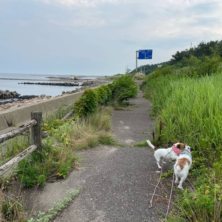 D42d437d 632b 438e 8068 fc4548b3518d 1660173516861