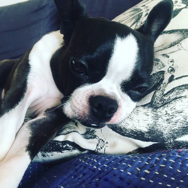 D42df812 7b5a 4894 a95e 5af1243c4f62 1539401586785