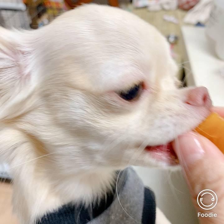 D42e720a 30a0 470c 8603 4b09f0fd509e 1603110136946