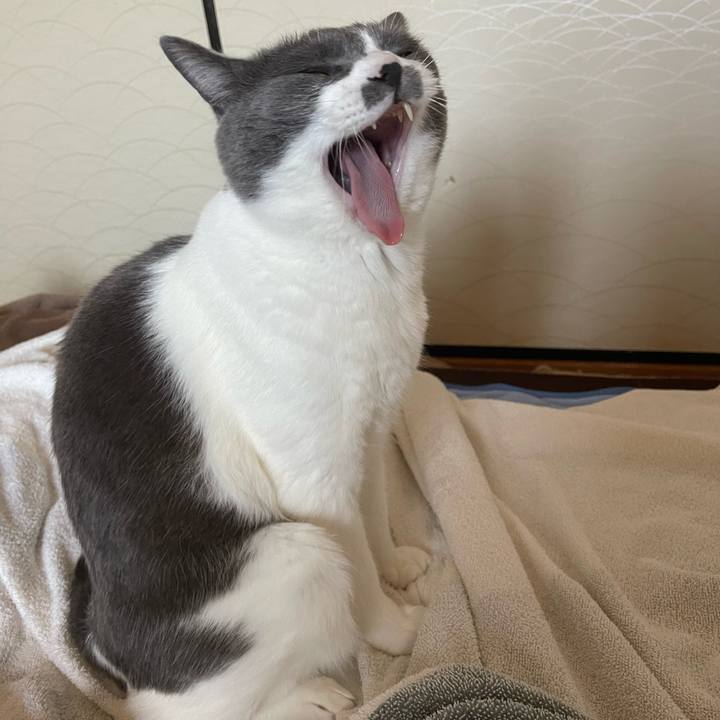 D42eae46 d9f6 43c6 8eaa 5af9cd736bc6 1657669214195