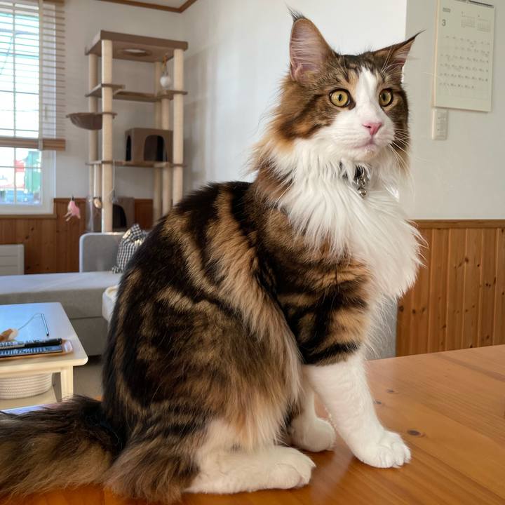 D42eb729 5787 4eba b8d9 040162e23166 1648504949863