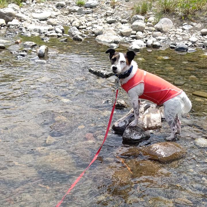 D42ecba1 4127 4d55 9854 ced5343612c4 1689591495444